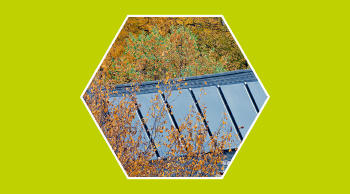 Mantenimiento de placas solares en otoño: lluvia, hojas y más