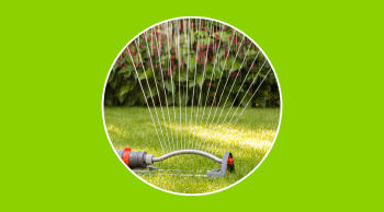 Así puedes ahorrar energía y agua cuidando el jardín