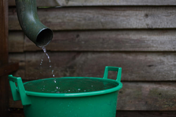 recolectar agua de lluvia
