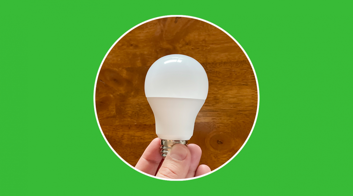 💡 Diferencias entre bombillas LED y de bajo consumo: ¿cuál es mejor?