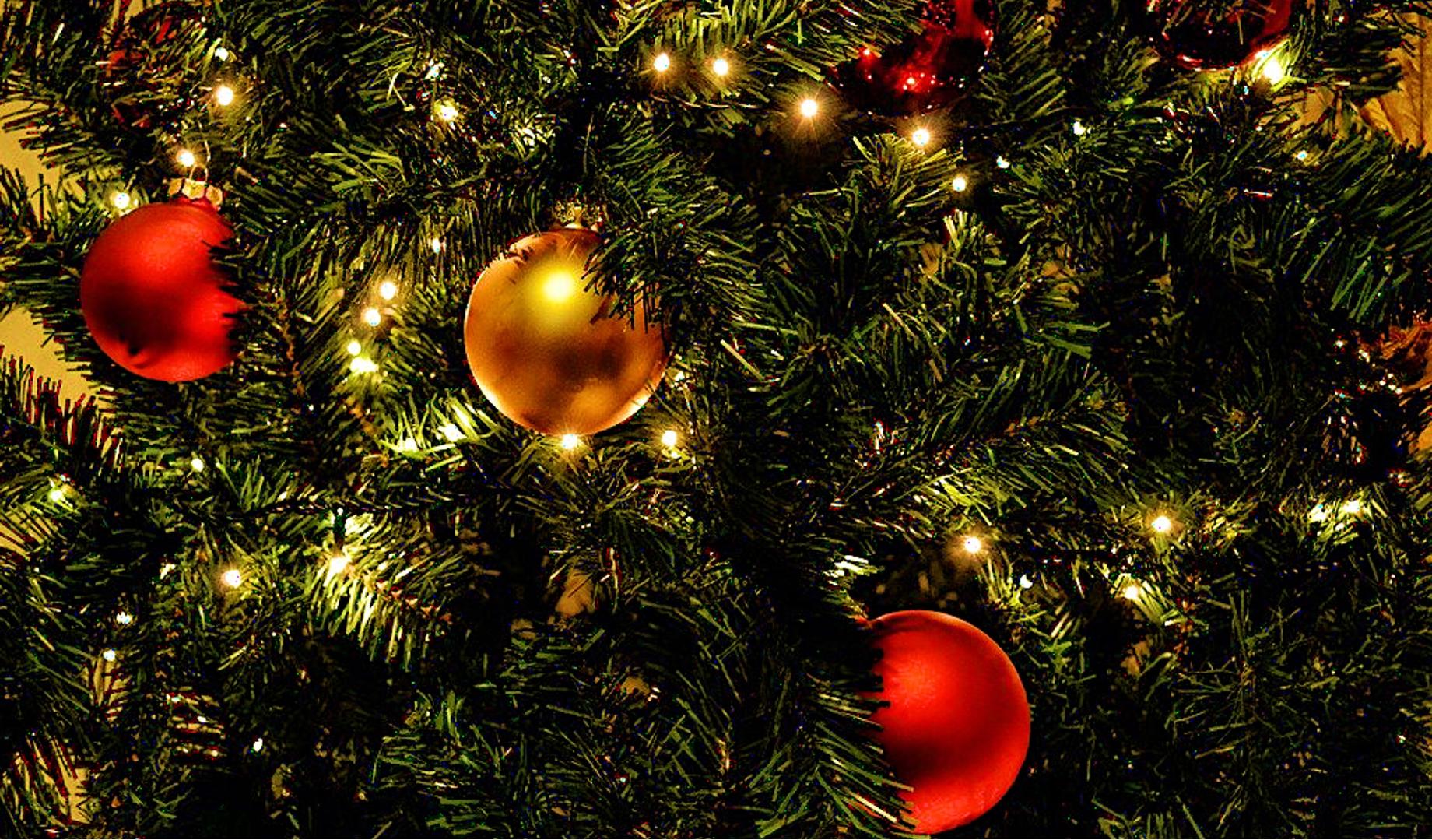 Cuánto cuesta poner luces de Navidad y cómo | Blog EnergyGO