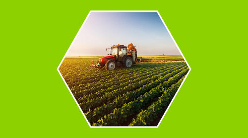 Agricultura intensiva o extensiva: ¿cuál es más sostenible?