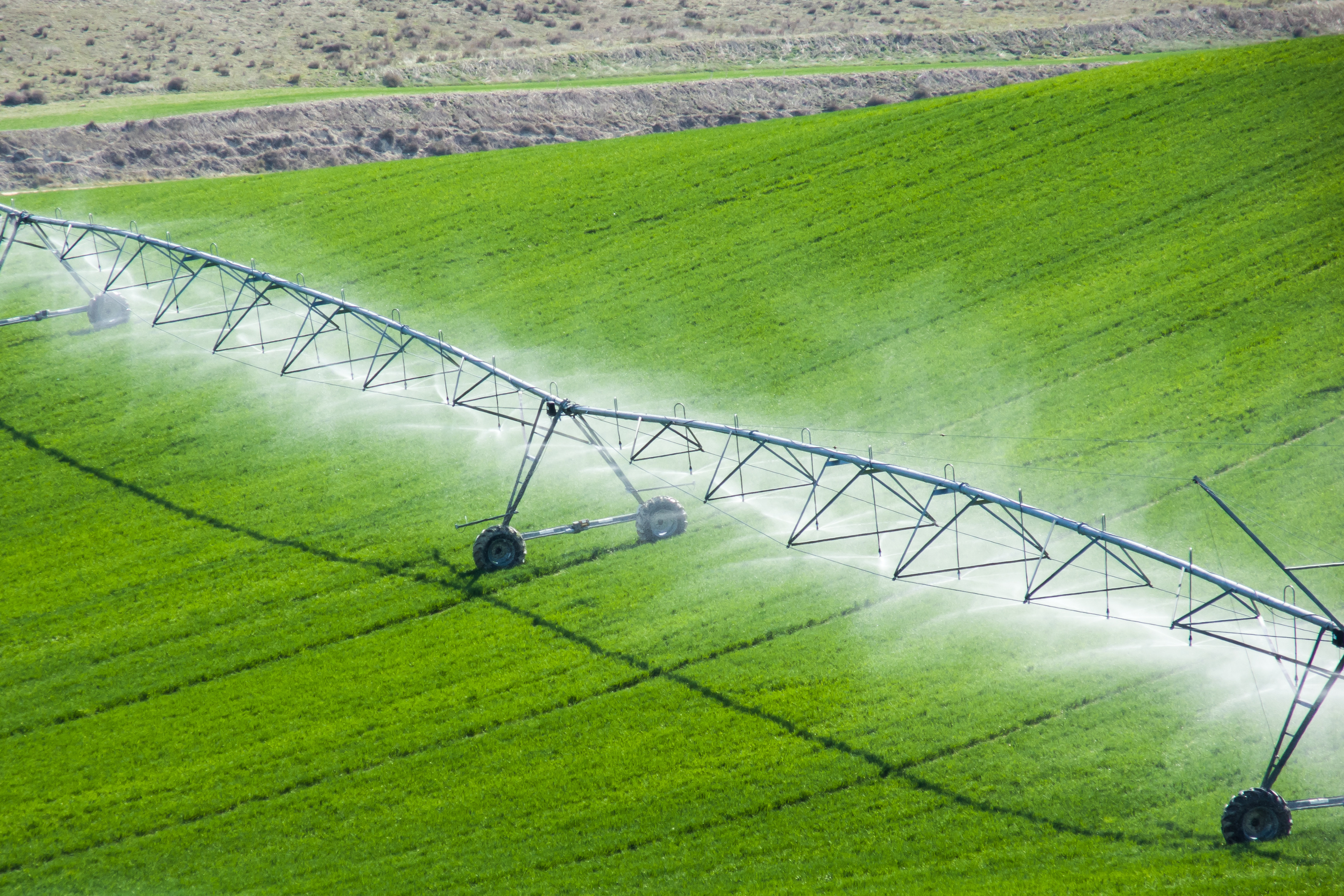 La agricultura de regadío y sus beneficios para el medioambiente