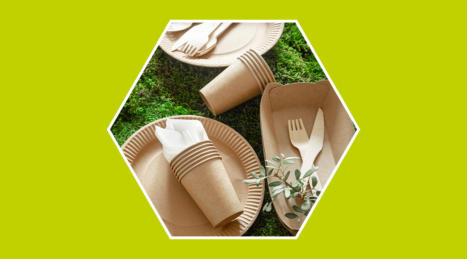 Biodegradable y no biodegradable: ¿en qué se diferencian?