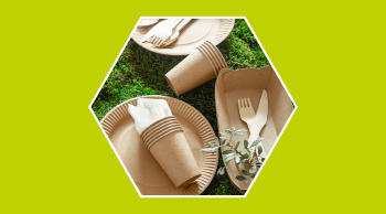 Biodegradable y no biodegradable: ¿en qué se diferencian?