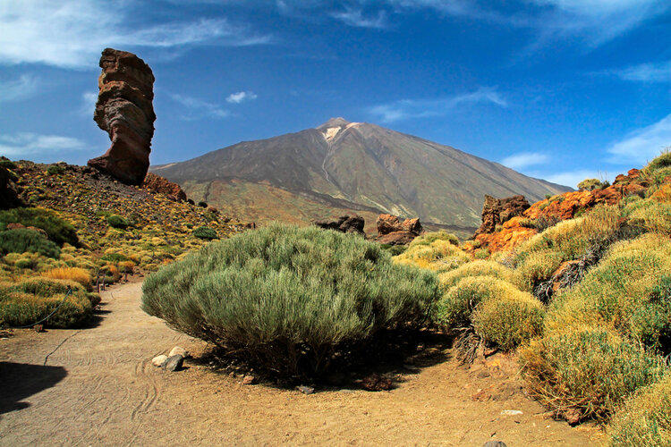 Parque Nacional España Teide