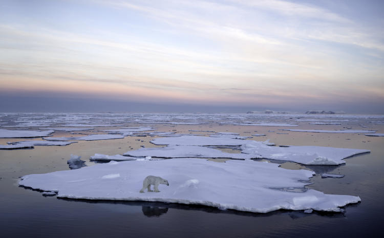 cambio climático Ártico consecuencias