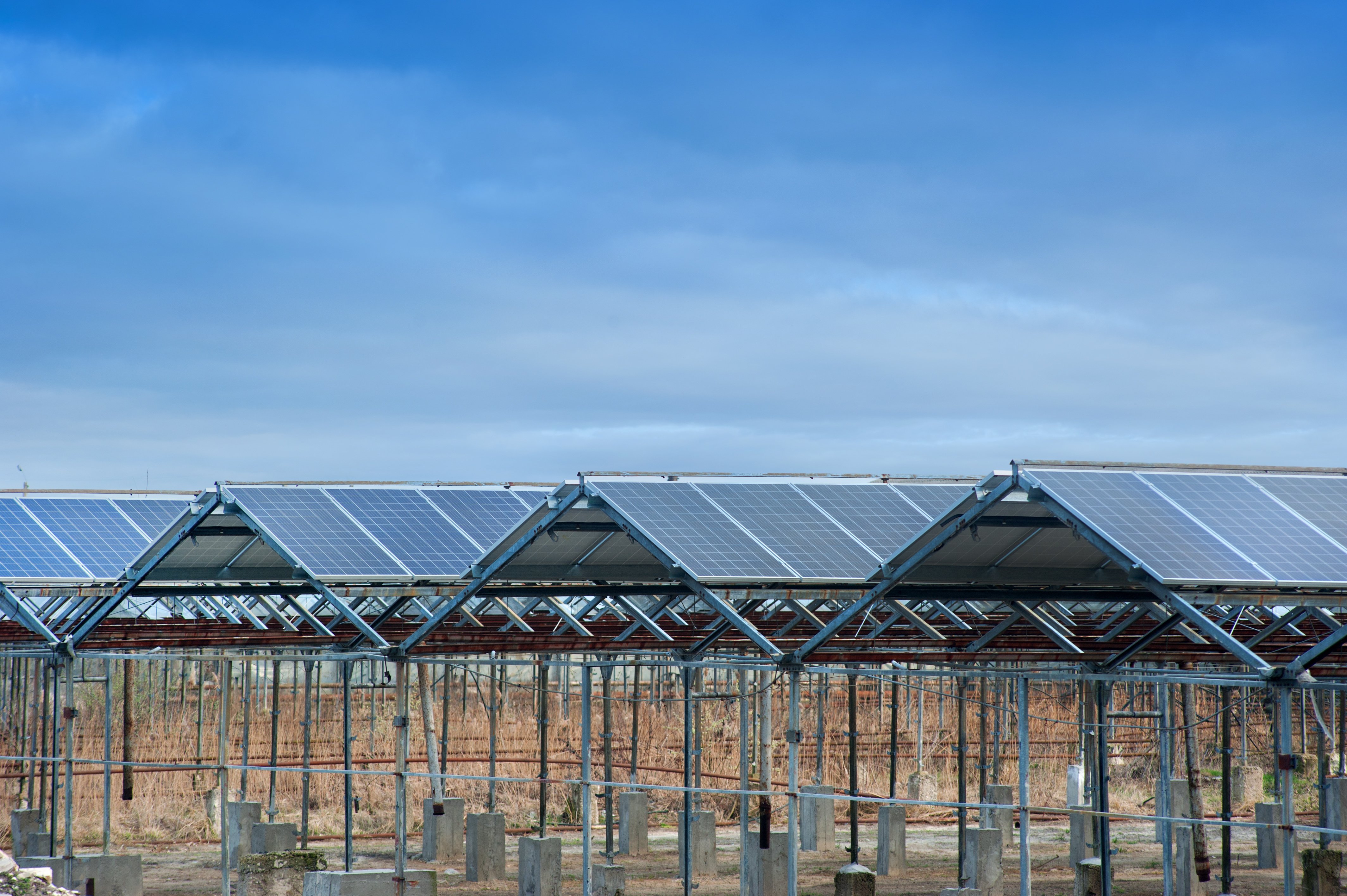 Energía agrovoltaica: ¿el futuro de la energía sostenible?