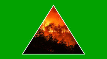Qué son los incendios forestales y cuáles son sus causas principales