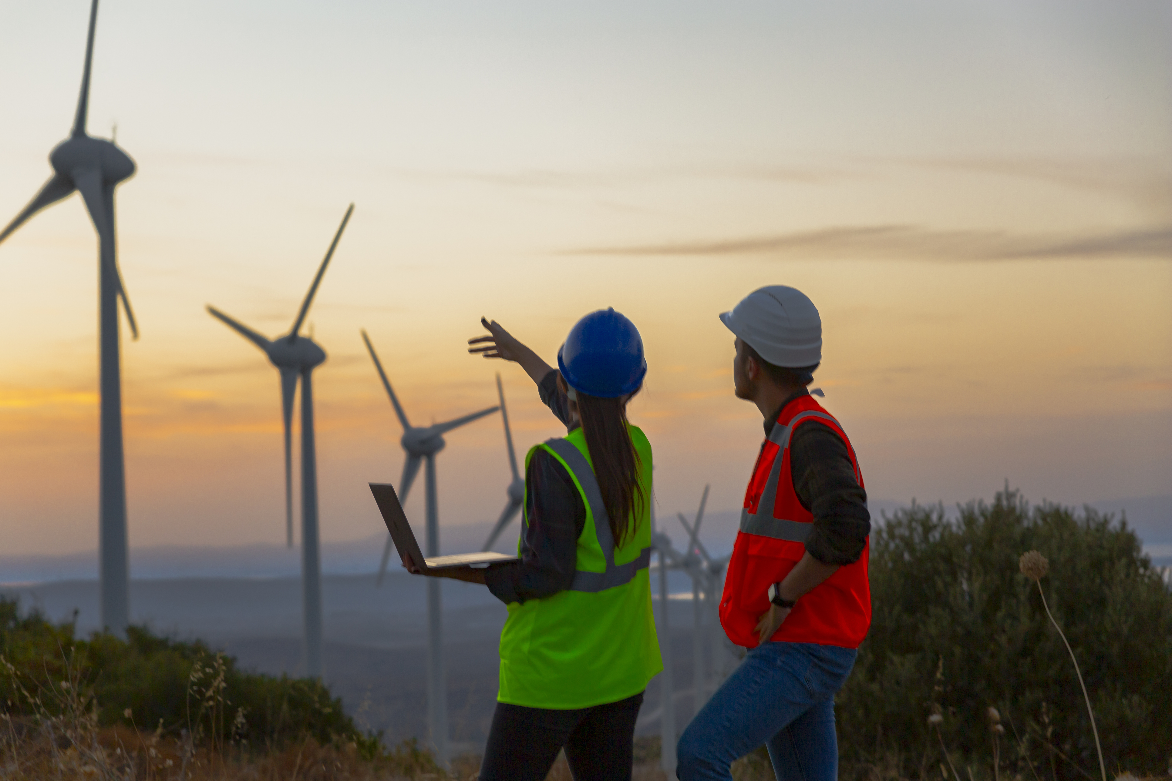 Impacto de los aerogeneradores en las aves y posibles soluciones