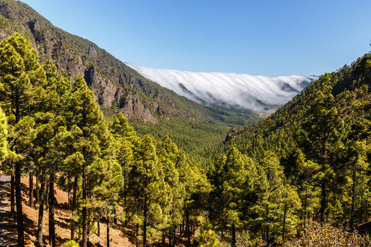 Parque Nacional Taburiente
