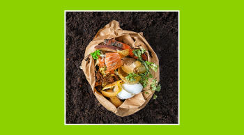 Aprende cómo hacer compost en tu casa paso a paso 