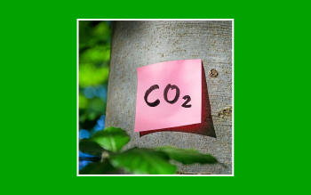 ¿Qué es la neutralidad de carbono?