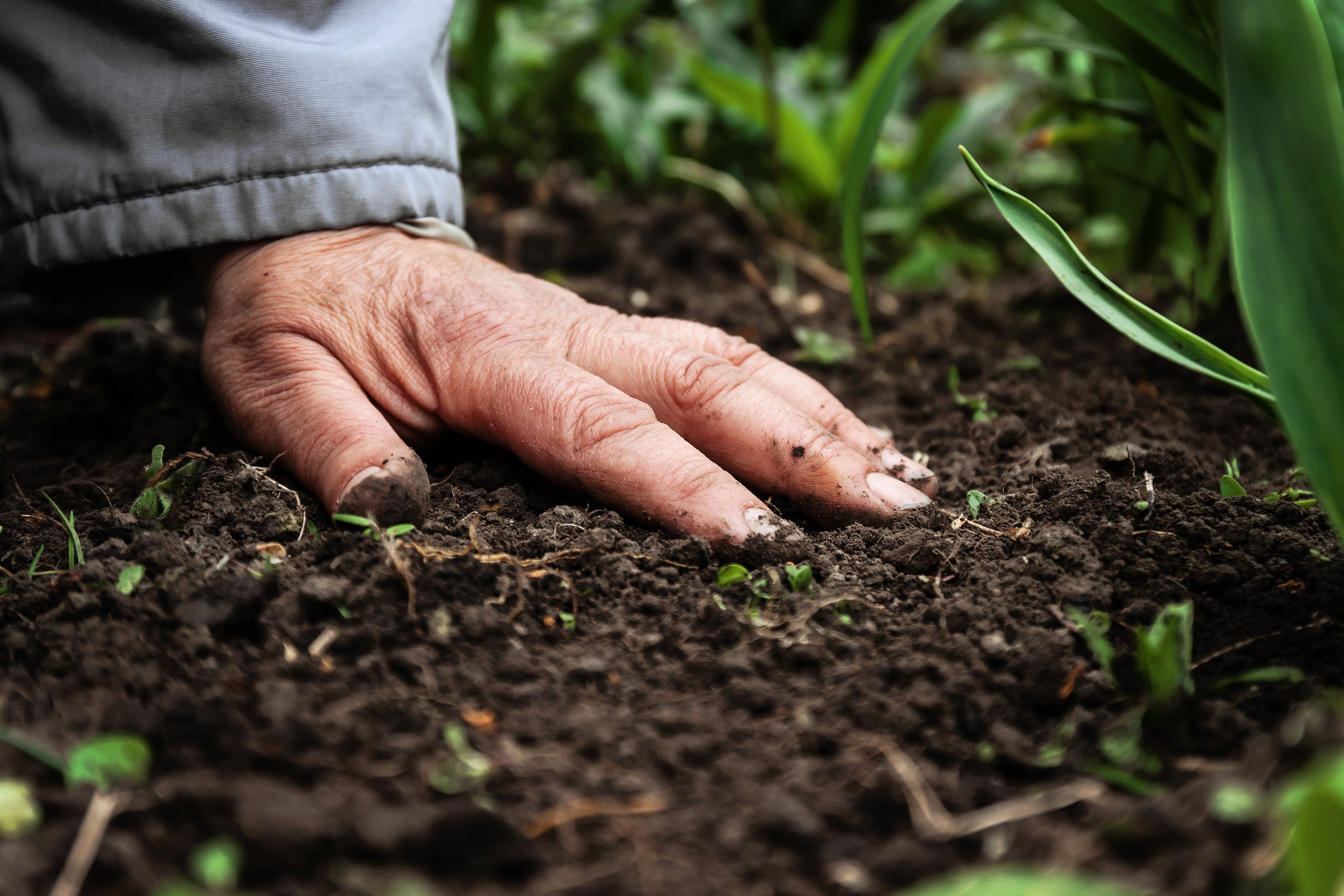 Iniciativas para la restauración de ecosistemas: guía completa