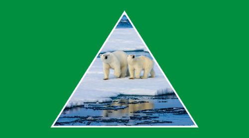 Cómo afecta el cambio climático al Ártico y sus consecuencias