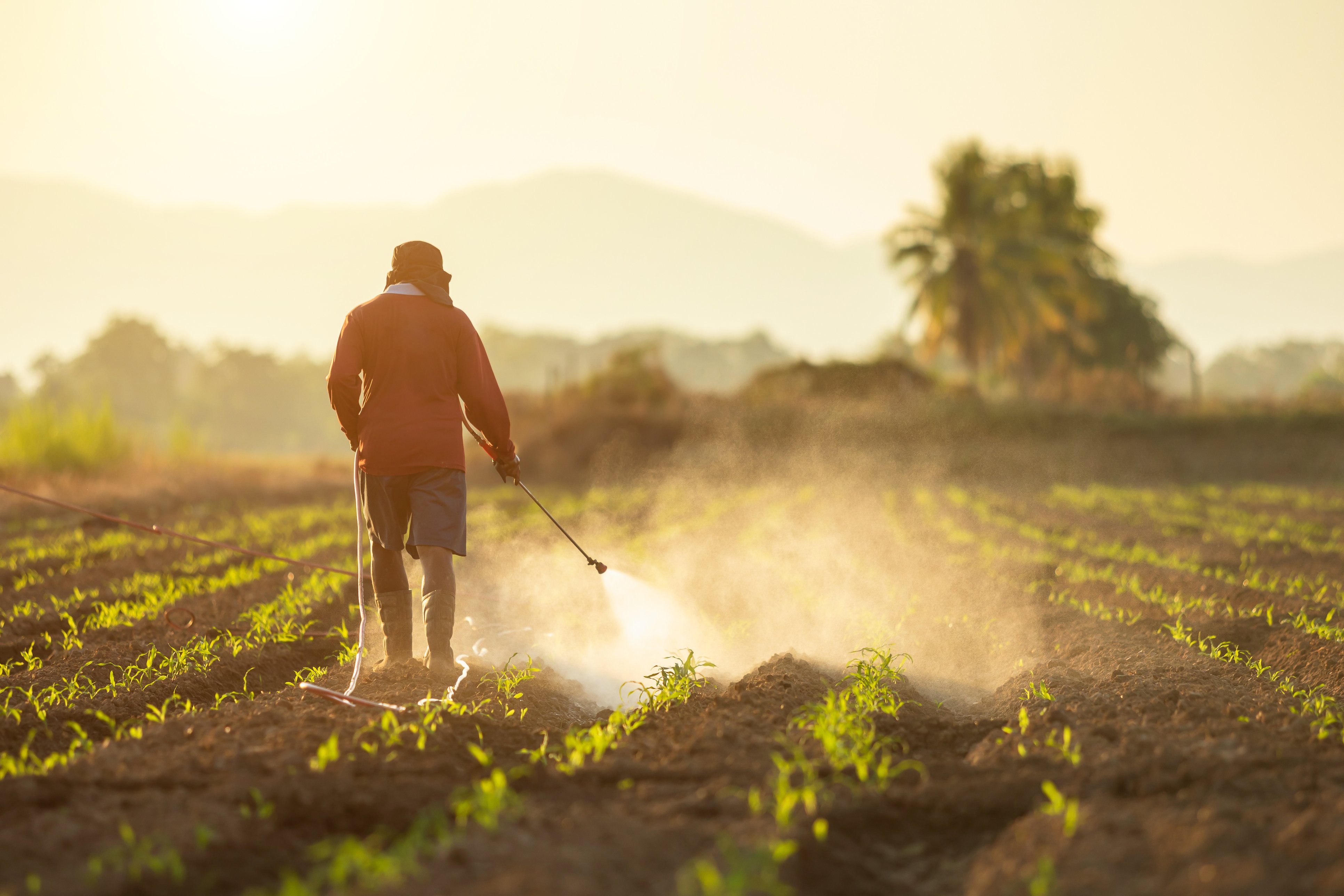 Cómo reducir la contaminación en el sector agropecuario