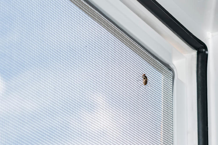 mosquitera ventanas ahorro energía casa